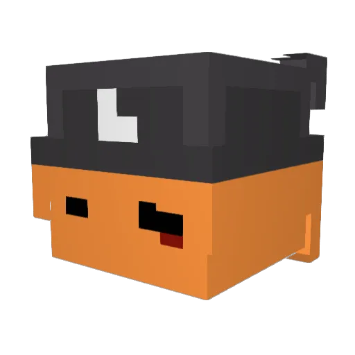 Bucket_Hat_Bozo Minecraft avatar head, 3D render