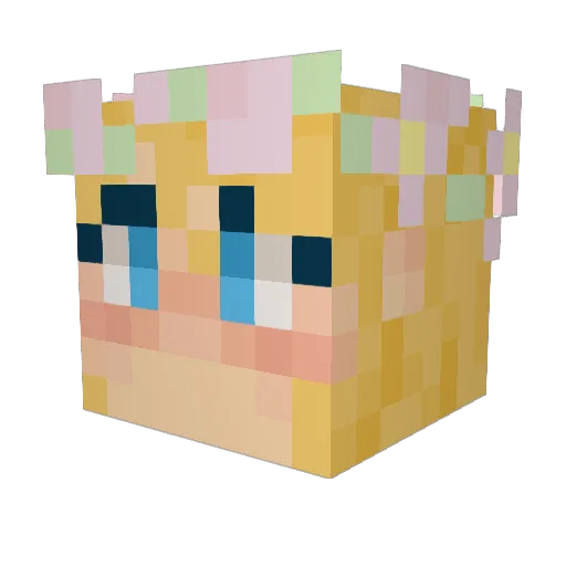 Bucket_Hatt Minecraft avatar head, 3D render