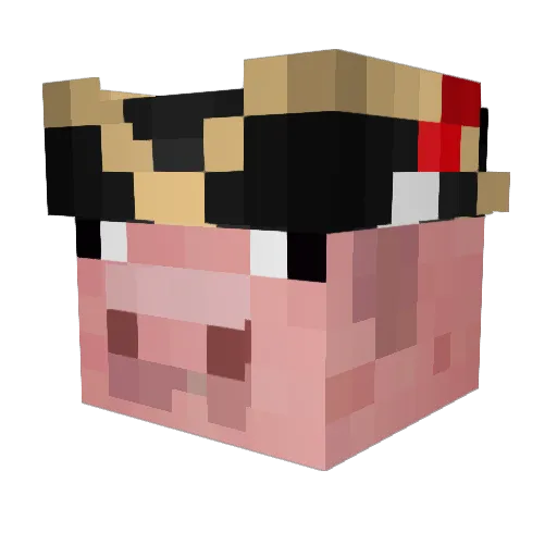 Buckets___ Minecraft avatar head, 3D render