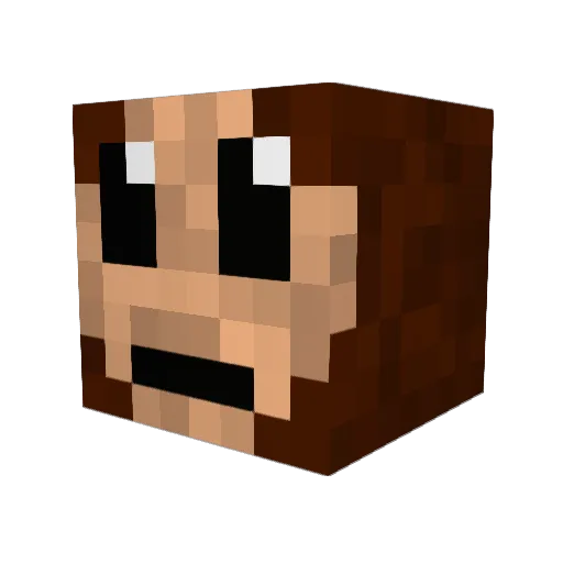 Buckeye_Nation Minecraft avatar head, 3D render