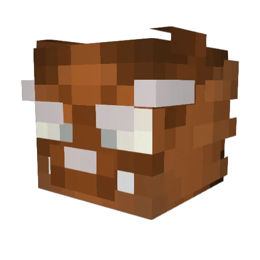 Buckeyebig Minecraft avatar head, 3D render