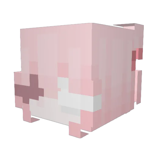 Buckies Minecraft avatar head, 3D render