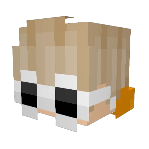 Buckit Minecraft avatar head, 3D render