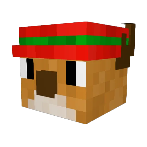 BuckkWild Minecraft avatar head, 3D render