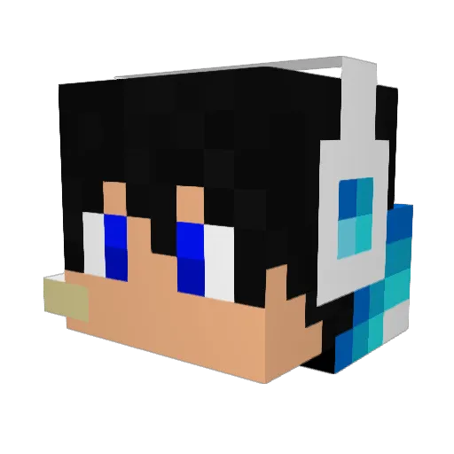 Bucko43 Minecraft avatar head, 3D render