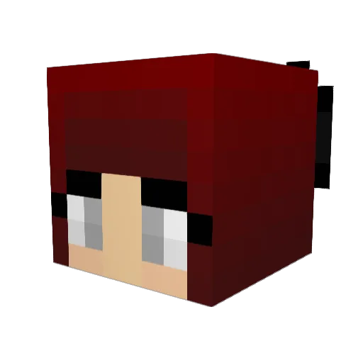 Bucko888 Minecraft avatar head, 3D render