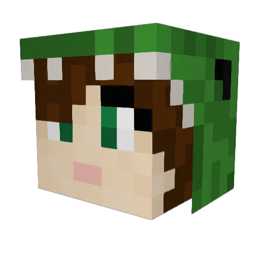 BuckoBaybee Minecraft avatar head, 3D render