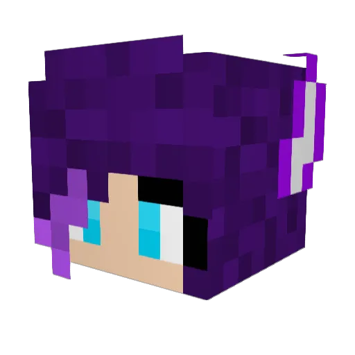 BuckoMan107 Minecraft avatar head, 3D render