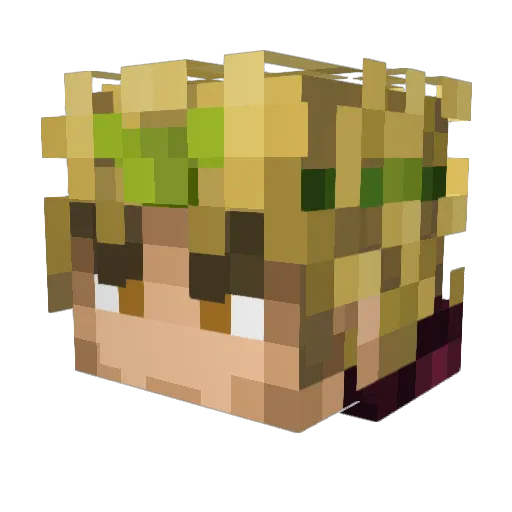 Buckro11 Minecraft avatar head, 3D render