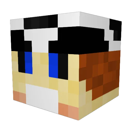 BucksFan100 Minecraft avatar head, 3D render