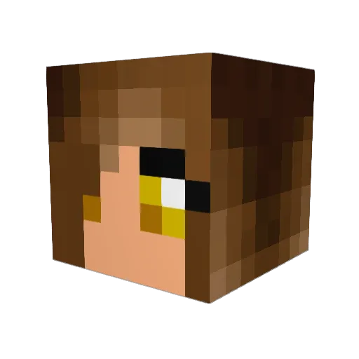 BuckyKat Minecraft avatar head, 3D render
