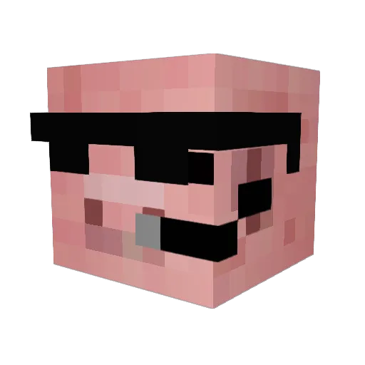 Bud300 Minecraft avatar head, 3D render