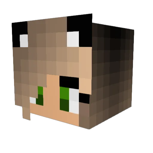 BuddB Minecraft avatar head, 3D render