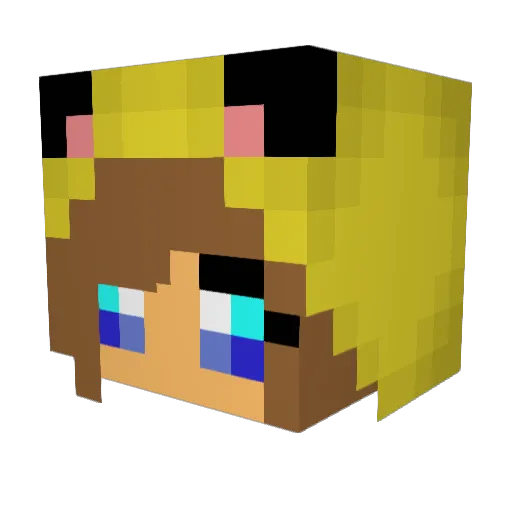 Budder1027 Minecraft avatar head, 3D render