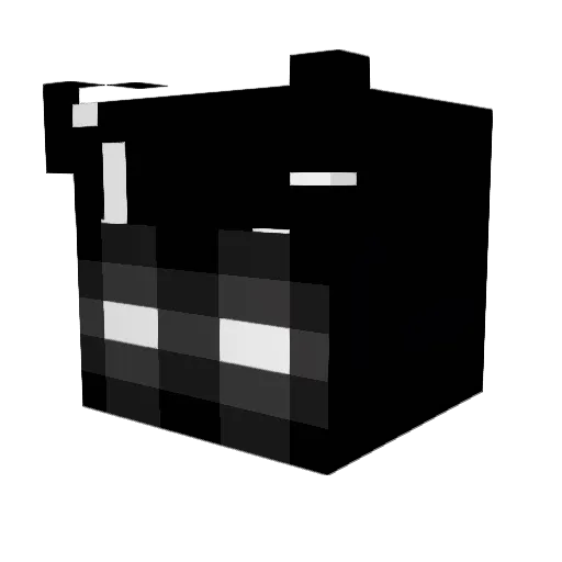 Budder_Z Minecraft avatar head, 3D render