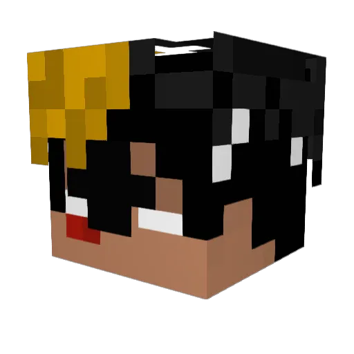 Buddersolace2001 Minecraft avatar head, 3D render
