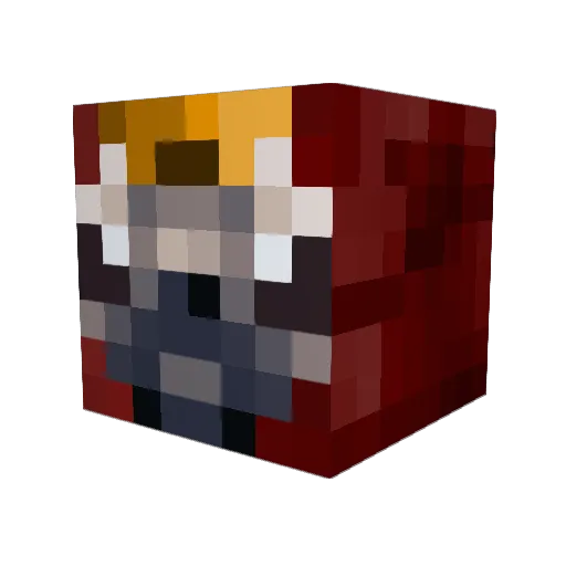 Buddersolis Minecraft avatar head, 3D render