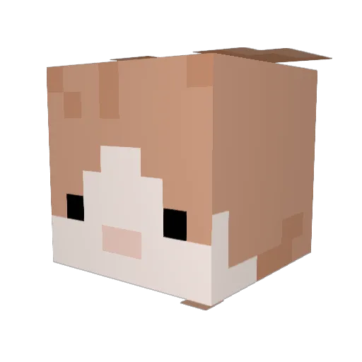 BuddhaBunny Minecraft avatar head, 3D render