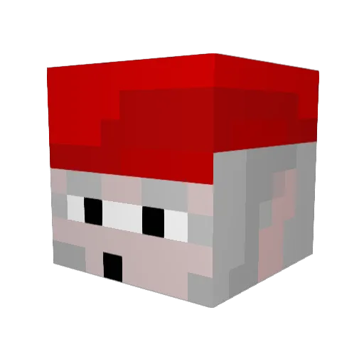 BuddyDoody Minecraft avatar head, 3D render