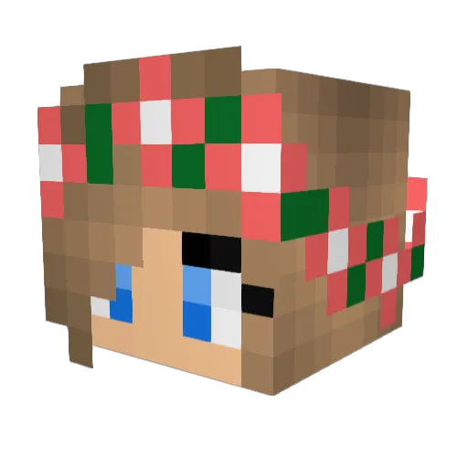 BuddyMojo Minecraft avatar head, 3D render