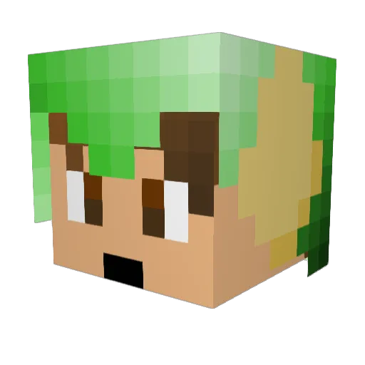 Budgiem8 Minecraft avatar head, 3D render