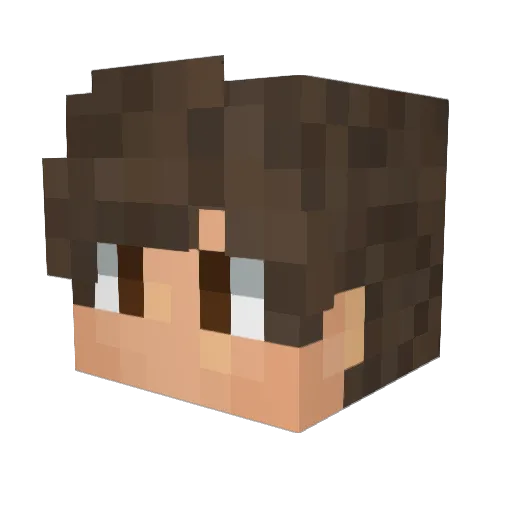 Budgieman7 Minecraft avatar head, 3D render