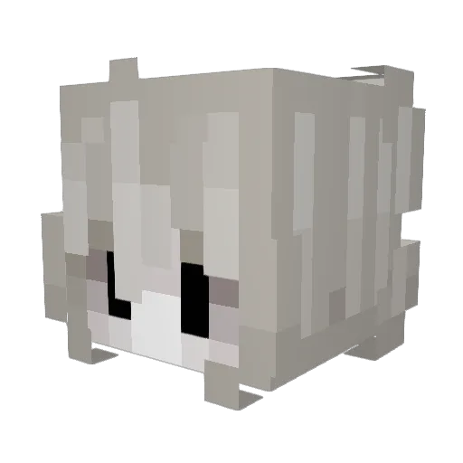 BudhaOG Minecraft avatar head, 3D render