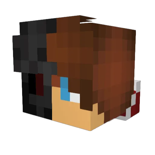 Budmiester10 Minecraft avatar head, 3D render