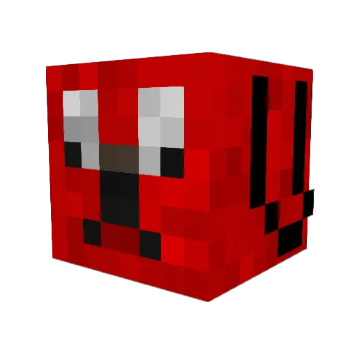 Budoy6165 Minecraft avatar head, 3D render