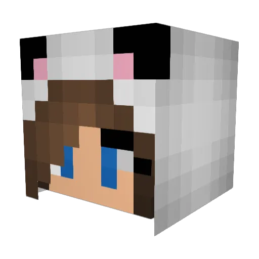 BuffMuffin117 Minecraft avatar head, 3D render