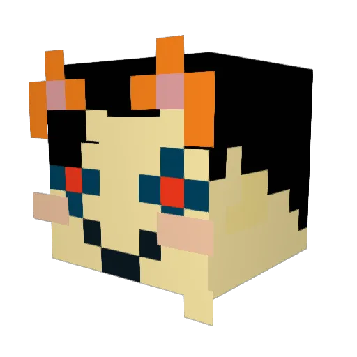 BuffaloSaysHi Minecraft avatar head, 3D render