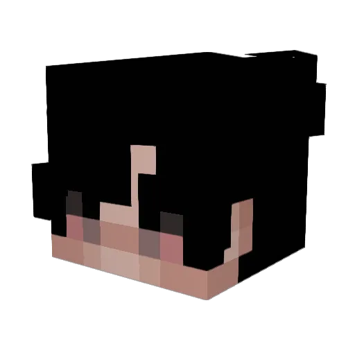 Buffet Minecraft avatar head, 3D render
