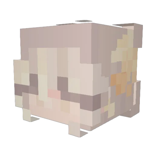 Bug222 Minecraft avatar head, 3D render