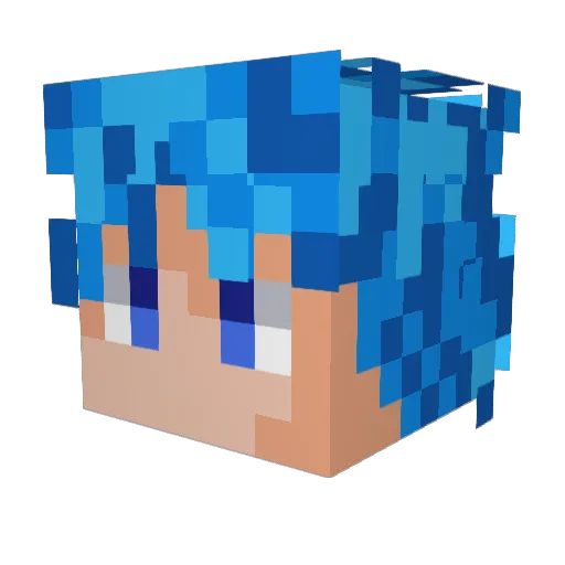 BugGamer17 Minecraft avatar head, 3D render