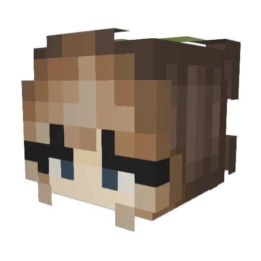 BugMomo Minecraft avatar head, 3D render