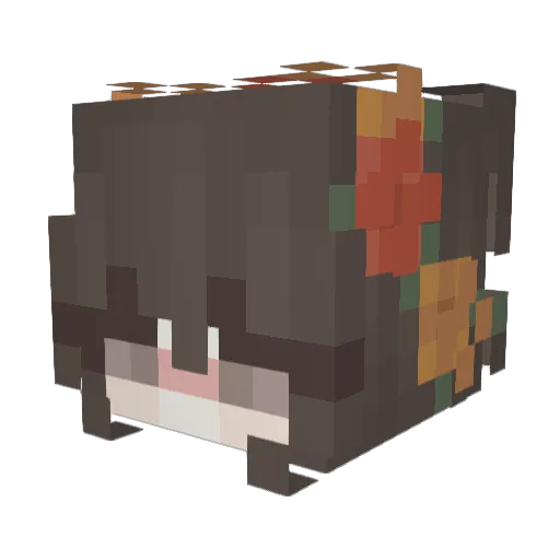 Bug_City Minecraft avatar head, 3D render