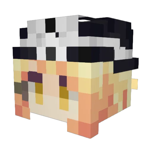 Bug_Forest Minecraft avatar head, 3D render