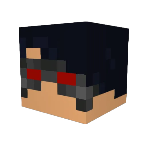 Bug_Man1701 Minecraft avatar head, 3D render