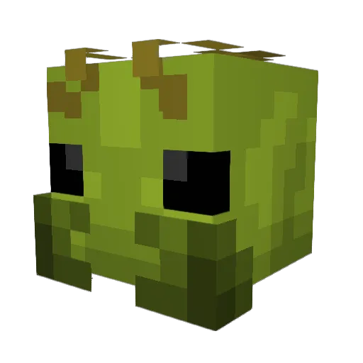 Bug_Stick Minecraft avatar head, 3D render