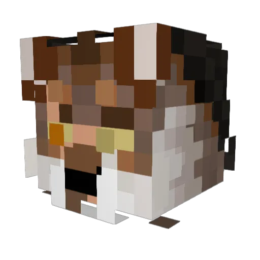 Bug_WashBear Minecraft avatar head, 3D render