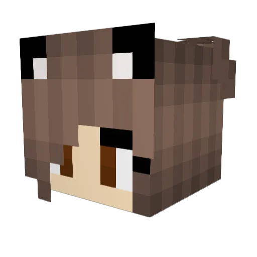 BugadaGam3r Minecraft avatar head, 3D render