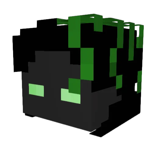Bugergut123 Minecraft avatar head, 3D render