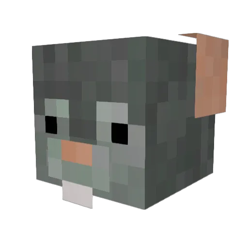 Bugg_Rat Minecraft avatar head, 3D render