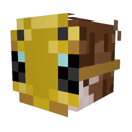 BuggaBeez376 Minecraft avatar head, 3D render