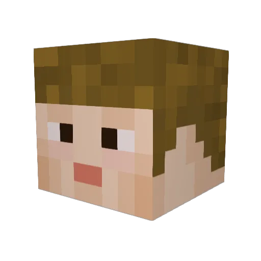 BuggaEM Minecraft avatar head, 3D render