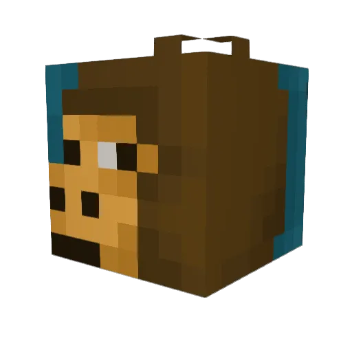 Buggalooz Minecraft avatar head, 3D render