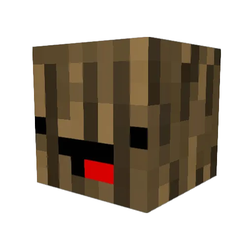 BuggamanBumBum Minecraft avatar head, 3D render