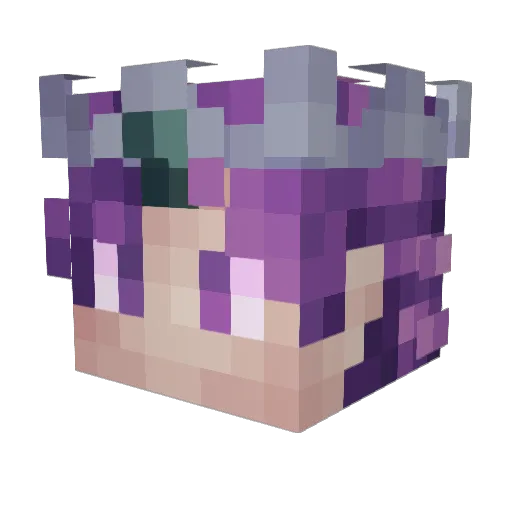 BuggedBiscuit Minecraft avatar head, 3D render
