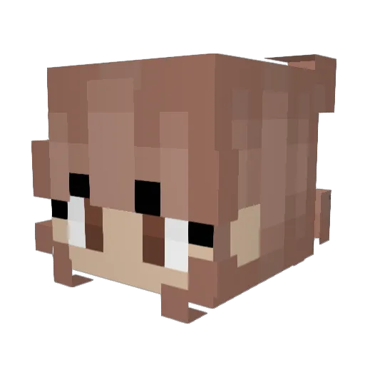 Buggy4277 Minecraft avatar head, 3D render
