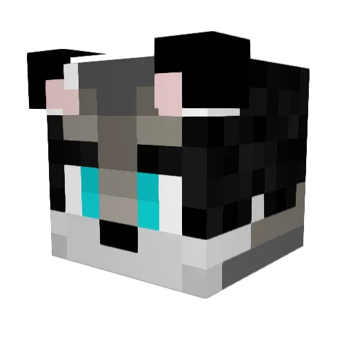 Buggyman27 Minecraft avatar head, 3D render